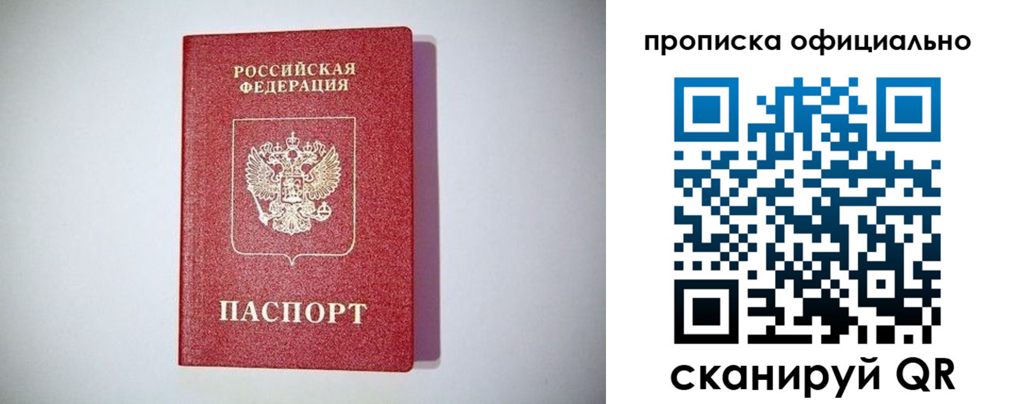прописка в Ковдоре